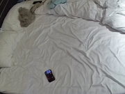 大学城 男人早上一醒 想的就是要打个晨炮 不过要先把女人舔到要爽不爽的时候 再操才是最佳状态 2