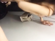 优衣库视频